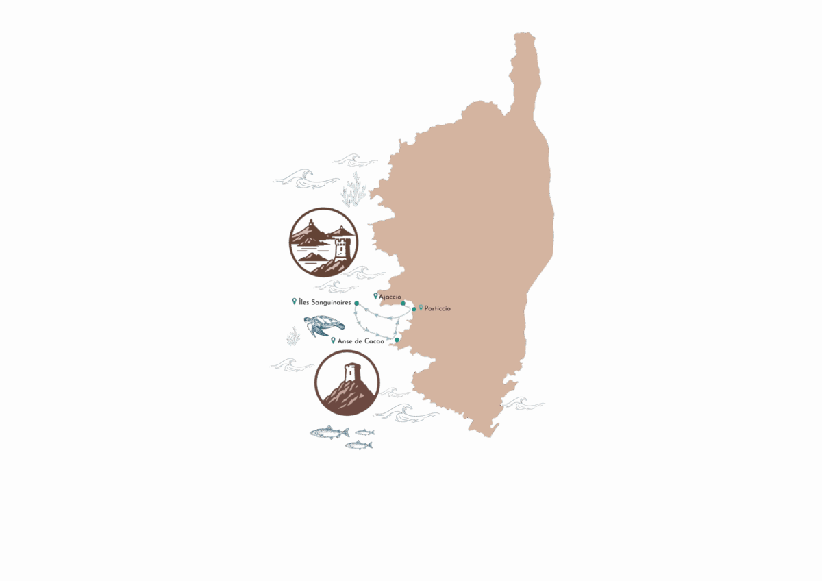 Copie de Copie de Sans titre 1